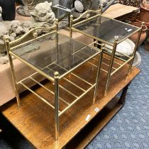 2 GLASS TOPPED TABLES WITH BRASS FRAME
