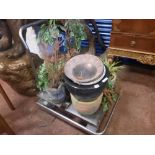 COLLECTION OF POTS & PLANTS