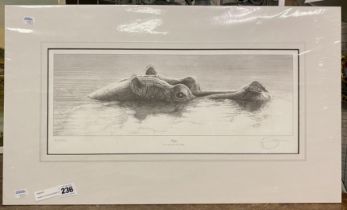 SIGNED LTD EDITION PRINT OF HIPPO FROM DRAWING BY GARY RHODES