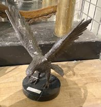 BRONZE EAGLE - 31 CMS (H) APPROX