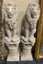 PAIR OF SEATED LIONS ON ''CHERUB'' COLOUMNS