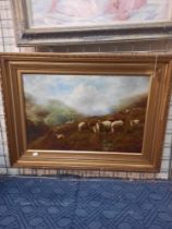 WILLIAM H WATSON OIL ON CANVAS ''SHEEP IN THE HIGHLANDS'' SIGNED 40CM X 60CM VERY GOOD ORIGINAL