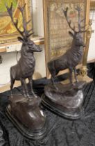 PAIR OF LARGE BRONZE STAGS 74.5CMS (H) APPROX