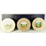 Three Royal Worcester plates, released to commemorate the 250th anniversary of Royal Worcester, to