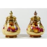 Two Royal Worcester lidded tea cannisters, Painted Fruit Study, stamped H 291 A, artist signed by