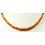 A Victorian slightly graduated coral bead necklace, 5 - 3mm, 36.5cm, gold clasp, 10gm