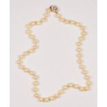 A uniform cultured pearl necklace, composed of 49 beads of 7mm diameter, to a 9ct gold and pearl