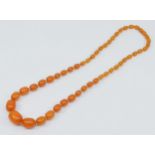 A honey amber Bakelite graduated bead necklace, 23 - 10mm beads, 62cm, 51gm