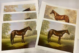 A collection of nineteen racehorse/sporting prints, to include signed ltd edition examples by John