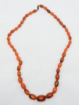 A butterscotch amber Bakelite graduated beaded necklace, 14 - 29mm beads, 59gm.