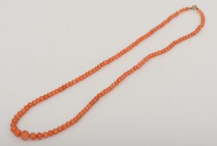 A Victorian unmarked gold clasped graduating coral necklace, 3-8 mm beads.