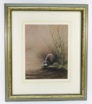 John Naylor (British b.1960), Otter by a river, coloured pencil drawing on paper, signed, dated