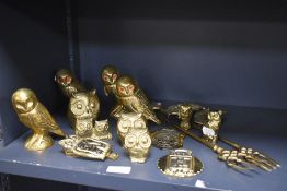 A large collection of brass owl studies, including door knocker, toasting forks and more.