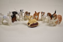 A pack of nine small Beswick dog figure studies including Bulldog, Jack Russell, Corgi, Dalmation,