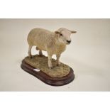 A Border Fine Arts figure study of a Texel Ram B0530