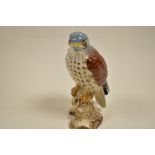 A Beswick Kestrel figure study no 2316