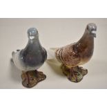 Two Beswick pigeon figure studies model 1383 in grey and brown glazes