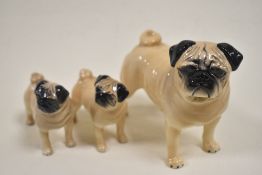 Three Beswick Cutmil Cupie Pug dog figure studies two smaller examples and one larger.