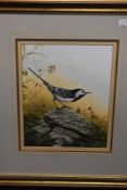 Ralph waterhouse, (1943-contemporary), a gouache painting, wagtail, signed, 27 x 20cm, mounted