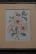 Didi Ritherford, (20th century), a watercolour, Hibiscus Belvidere, signed and dated 1991, 30 x