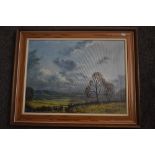 Mark W Dyke, (contemporary), an oil painting, country landscape, signed, 45 x 60cm, pine framed,