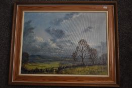 Mark W Dyke, (contemporary), an oil painting, country landscape, signed, 45 x 60cm, pine framed,