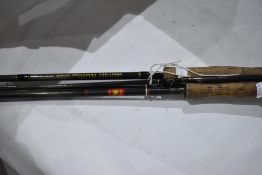 Two fly rods A 9.5ft 2 pc geoffrey bucknall carbon rod and a Golden lion 2pc carbon rod