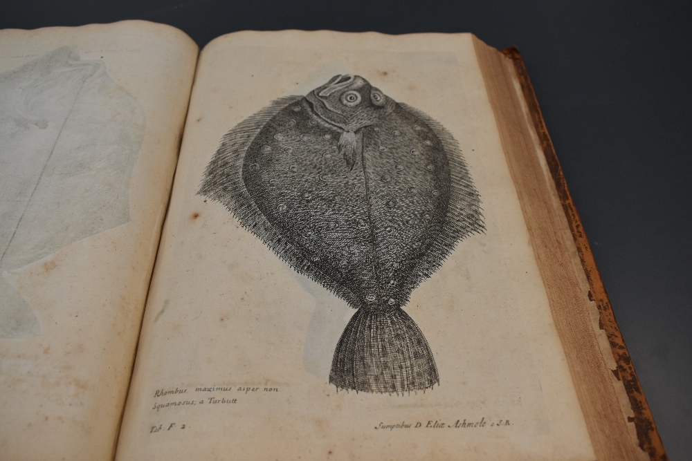 Antiquarian. Willughby, Francis - De Historia Piscium Libri Quatuor, &c. Oxford: 1686. With the - Image 10 of 15