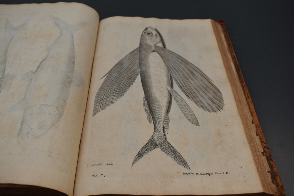 Antiquarian. Willughby, Francis - De Historia Piscium Libri Quatuor, &c. Oxford: 1686. With the - Image 13 of 15