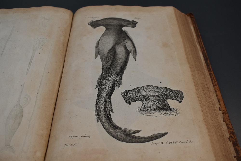 Antiquarian. Willughby, Francis - De Historia Piscium Libri Quatuor, &c. Oxford: 1686. With the - Image 8 of 15