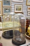 Two early 20th century glass display domes both with bases, one cylinder design with small crack