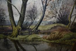 K Gordon, (20th century), a watercolour, trees and pond, signed and dated (19)77, mounted framed and
