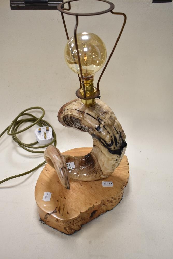 A rams horn and burr maple table lamp with oversized decorative bulb.