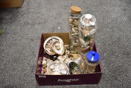 A good quantity of mixed sea shells, including paua and cowl shells.