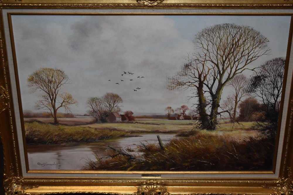 Peter J Greenhill, (contemporary), an oil painting, a country landscape, signed, 50 x 75cm, fancy