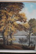David Walsey, (2oth century), autumnal woodland and river, signed, 90 x 70cm, framed, 100 x 80cm