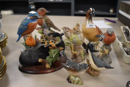 Eight figure studies of birds including Beswick and Valencia