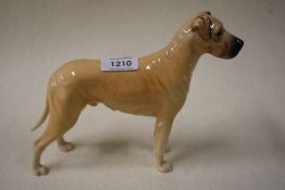 A Beswick Great Dane dog study. Some damage to glaze .
