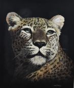 Barry Robinson (Local contemporary) scratch art/scraper board depiction of a cheetah, signed
