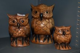 Three graded carved wooden owl studies.