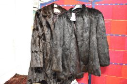 Two early 20th century fur coats including a full length and a jacket.