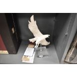 Royal Doulton Parian study of Eagle in Flight AL5 with stand, limited edition 181 of 1500 from the