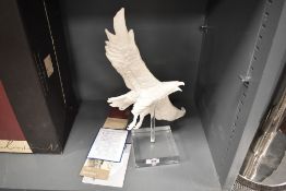 Royal Doulton Parian study of Eagle in Flight AL5 with stand, limited edition 181 of 1500 from the