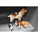 Four Beswick figure studies of dogs including Spaniel, Corgi, Collie and Springer Spaniel