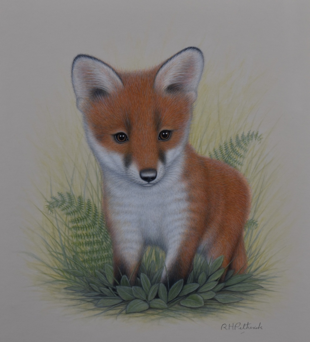 R H Petherick (British 20th century) gouache, stylised fox cub amongst foliage signed lower right,