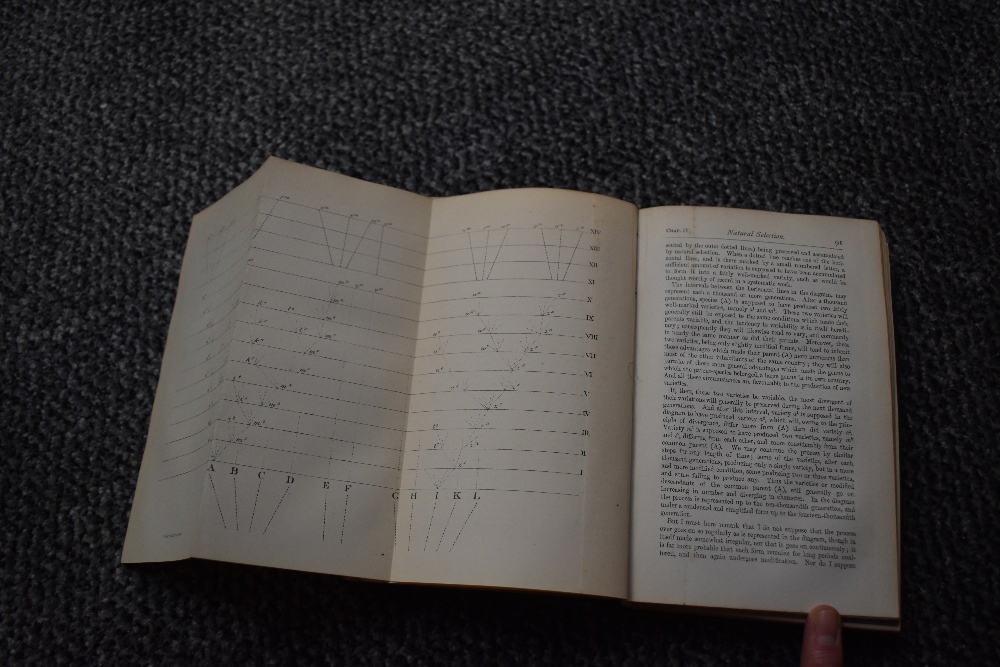 Science and Natural History. Darwin, Charles - The Origin of Species. London: John Murray, 1872. 6th - Image 3 of 6