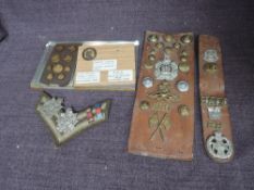 A collection of Military Cap Badges and Buttons on boards and on leather straps including Border
