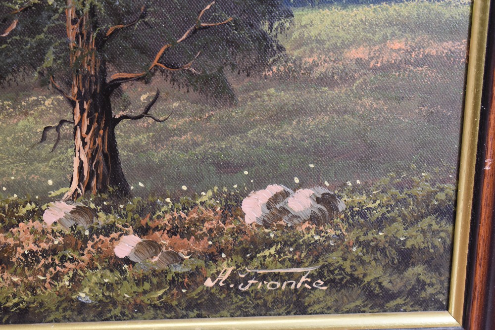 A 20th century oil on canvas, German Alpine lake scene, signed H.Franke lower right, within a - Image 3 of 4