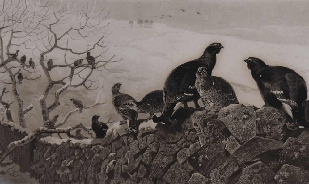 After Archibald Thorburn (Scottish 1860-1935) a late Victorian monochrome engraving of grouse,