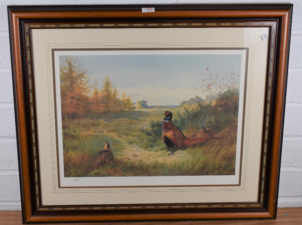 After Archibald Thorburn (Scottish 1860-1935) a limited edition colour print, Pheasants, numbered - Image 2 of 3